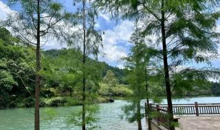 烟雨江湖江湖见闻怎么开启